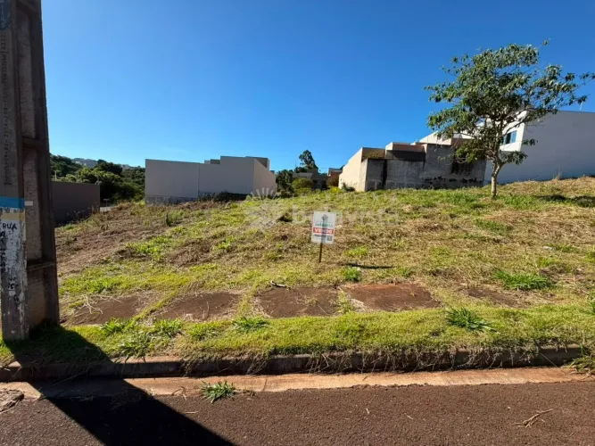 TERRENO À VENDA NO RESIDENCIAL TOZZI EM ARAPONGAS .