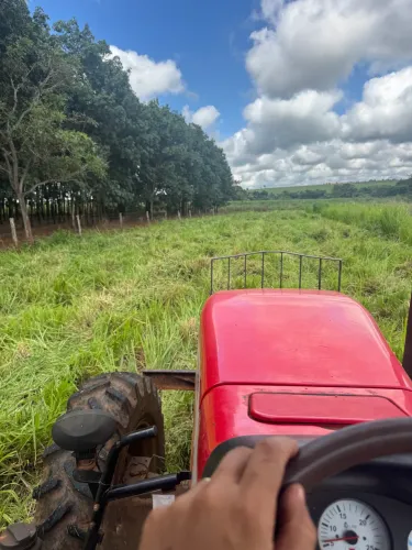 Caseiro para fazenda