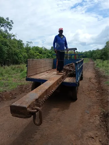 Implemento de limpar pasto.