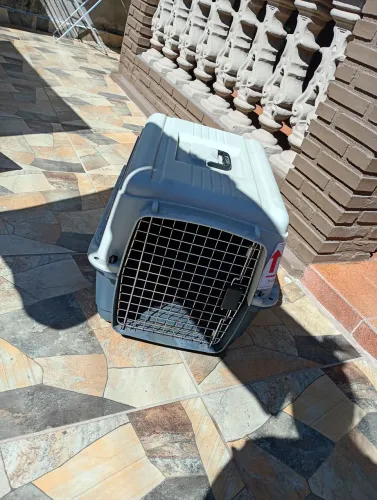 Casinha de transporte para cachorro Kenel (LATAM Airlines)