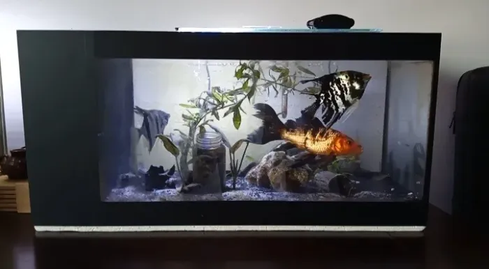 Aquário com Sump Aquecedor com Termostato Luminária Substrato Mídia Biológica 45L 60cm