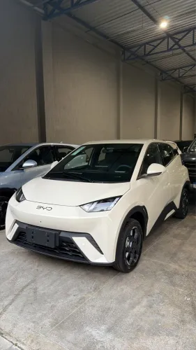 BYD Dolphin Mini (Elétrico) 2027