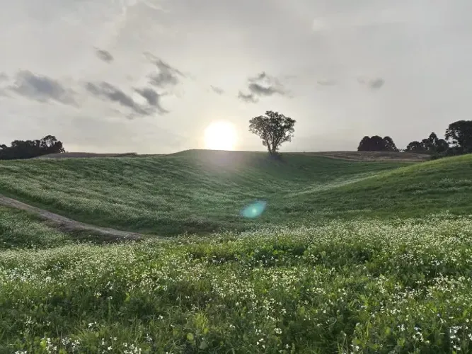 SEU PEDACINHO DE NATUREZA PODE ESTAR AQUI! - ÁREA RURAL - 20.000 m²