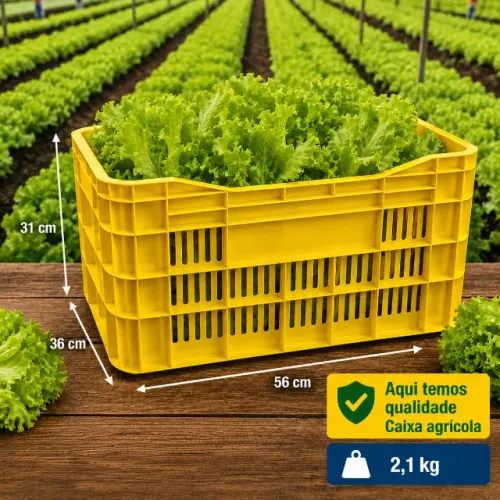 Caixa Plástica Hortifruti supermercado Vendas Diretas da fábrica