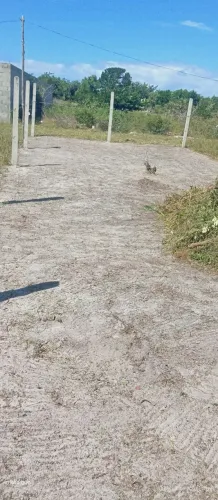 Povoado Angelim 1 rua j santo amaro