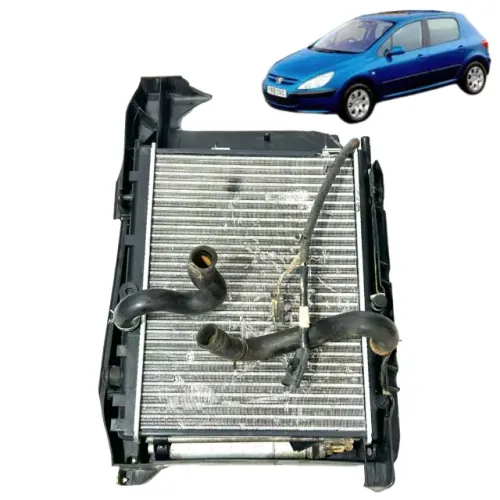 Kit Radiador Peugeot 307 308 1.6 Citroen C4 2001 á 2012 Usado Com Detalhe 