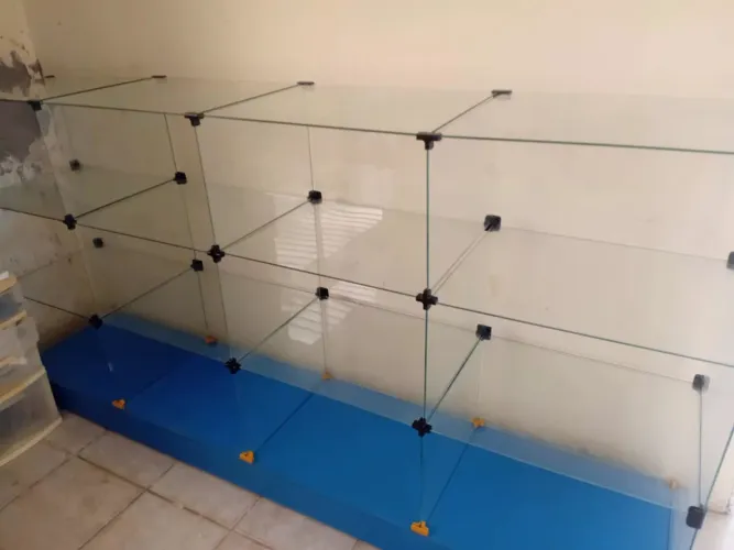 Vitrine de vidro com madeira
