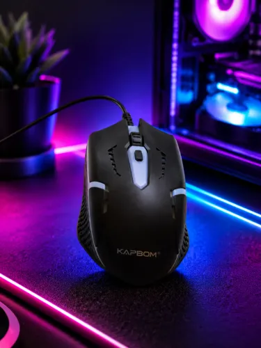 Mouse gamer
