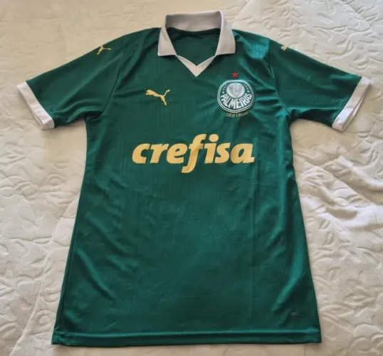 camisa Palmeiras 2024