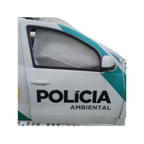 Porta Dianteira L.D Renault Oroch Duster 2.0 16v 2012 a 2021(Não Acompanha Acessórios)