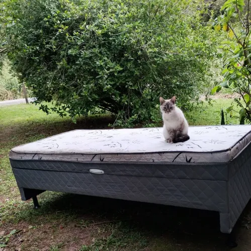 CAMA BAÚ LARGA DE SOLTEIRO 