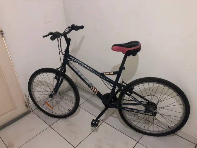 Bicicleta