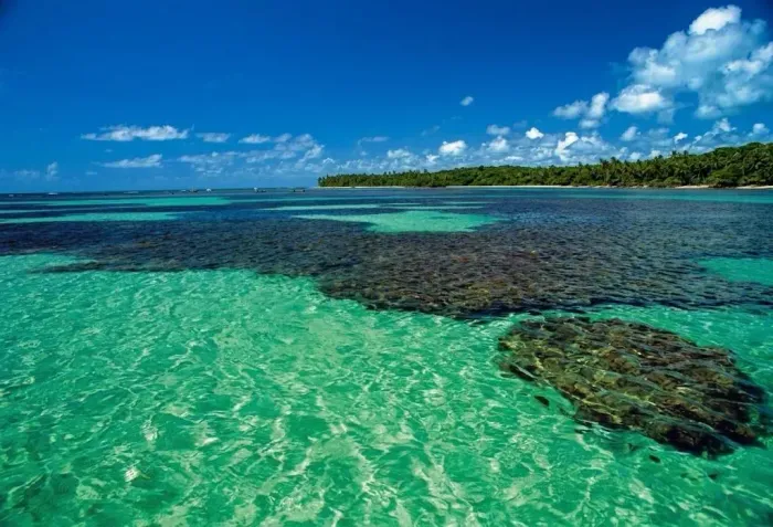 OPORTUNIDADE EXCLUSIVA EM BOIPEBA BAHIA