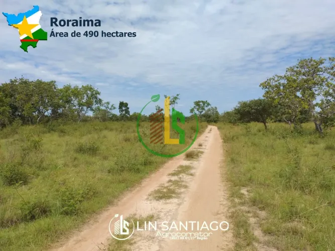 Vendo Fazenda de 490 hectares 