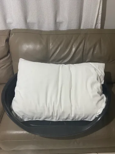 Cama de pet grande nova
