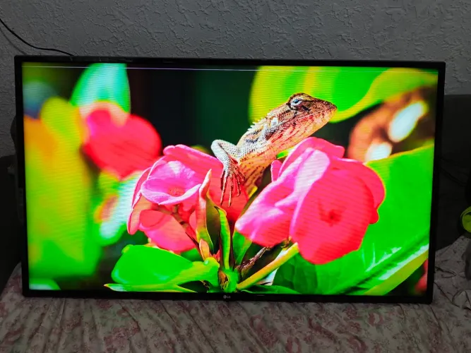 Smart tv LG 49" 4k detalhe na imagem PFV LEIA DESCRIÇÃO