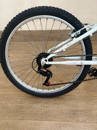 Bicicleta Caloi Ceci Aro 24