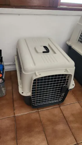 Caixa de Transporte Pequena para Cães Cobasi