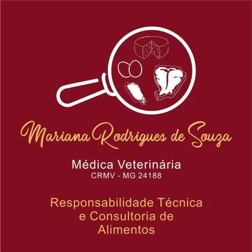 RESPONSÁVEL TÉCNICO