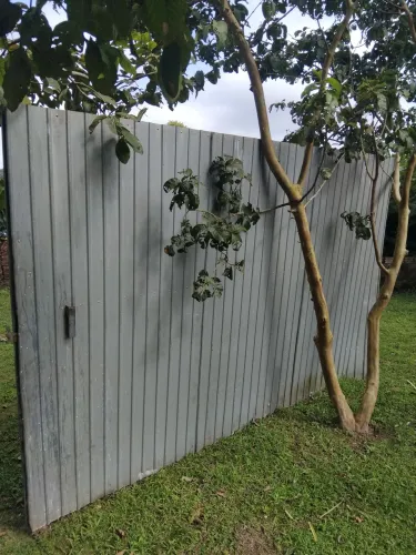 Vendo , preço a combinar de acordo com o que vai comprar ok