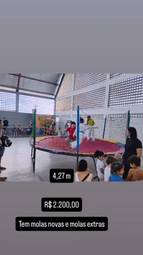Cama elástica 4,27