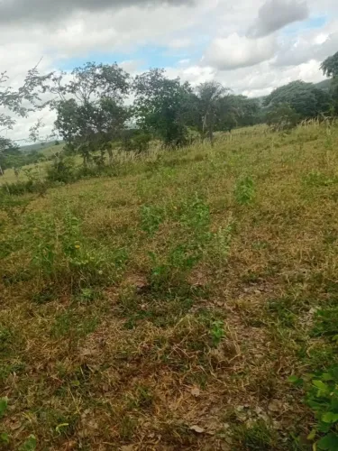 Vende -se terreno 6 tarefas em fazenda poço verde 15km de Filadélfia- BA