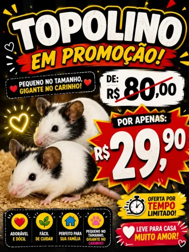 Hamster topolino
