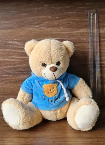 Urso de moletom com capuz 