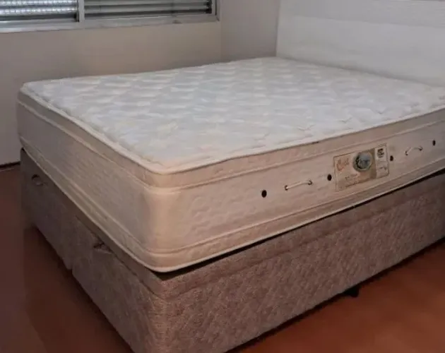 Mola ensacada fofa