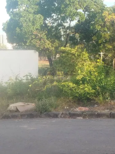 Vendo Lote no Bairro Vila Nova - Oportunidade!