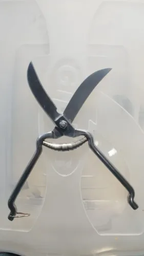 Tesoura  Trincheira de Frango - Aço Inox