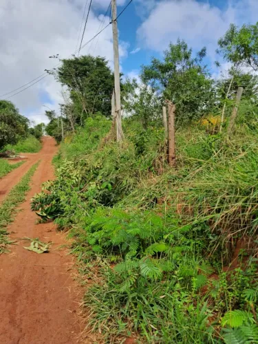 Vendo terreno em Mateus Leme