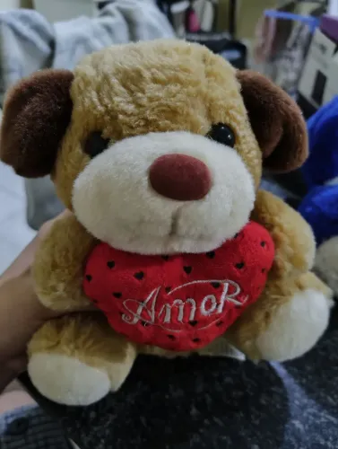 Pelúcia Cachorro Amor