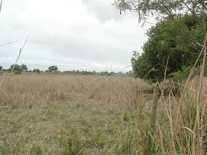 ÁREA 44.000 M² ESTRADA DO CERAMISTA ARAÇÁ