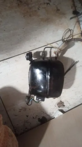 Compressor de bebedouro 