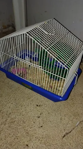 Gaiola pra hamster