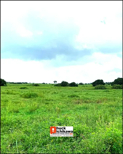 Fazenda de 130 Tarefas - Nossa Senhora das Dores