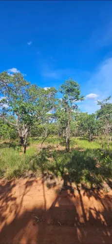 Terreno para chácara no Vale do Buritis 