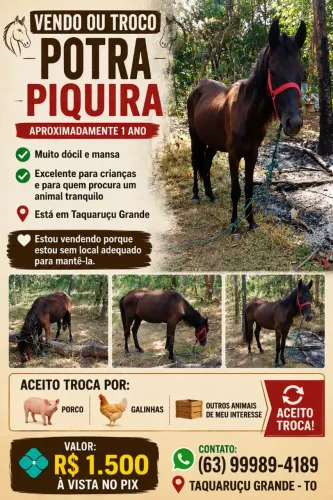 Potra para criança