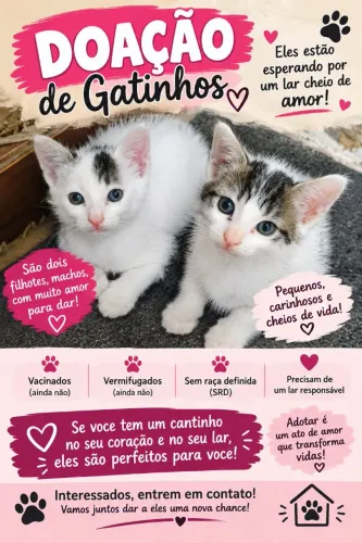 Filhote de gatinhos para doação 
