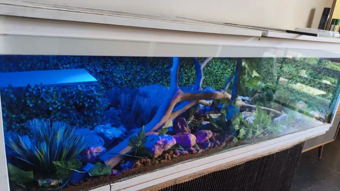 Terrário completo - 1,5m x 80cm x 70cm