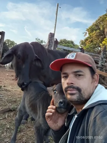 Caseiro disponível