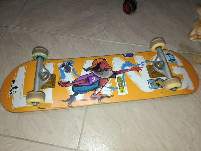 SKATE MAPLE MONTADO USADO POUCAS VEZES DETALHES NA DESCRIÇÃO