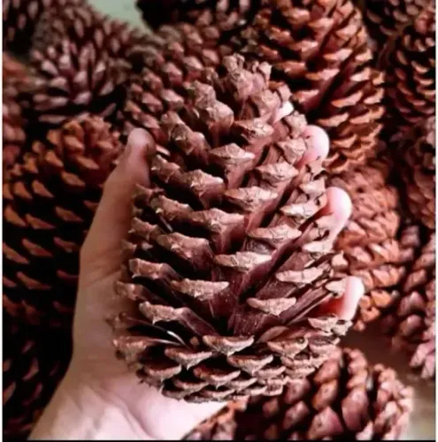 Decoração de Natal