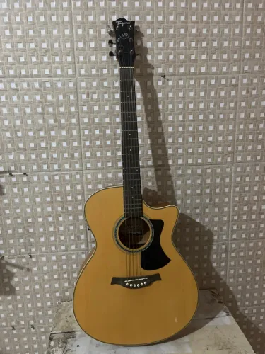 Violão tagima woodstock tw29