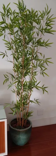 Arranjo de planta artificial
