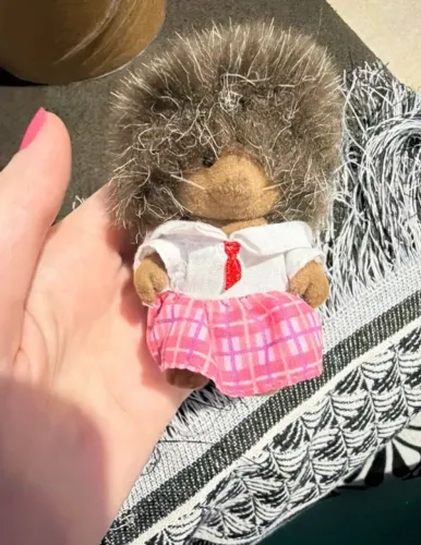 Sylvanian reservado 
