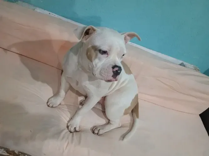 Vende-se barato
