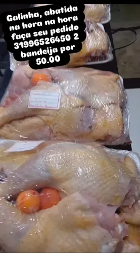 Galinhas abatidas na hora galos, frangos