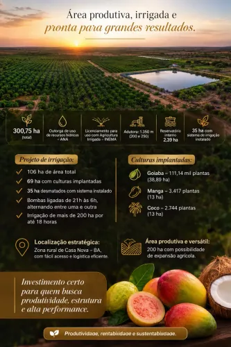 Área rural grande em produção completa